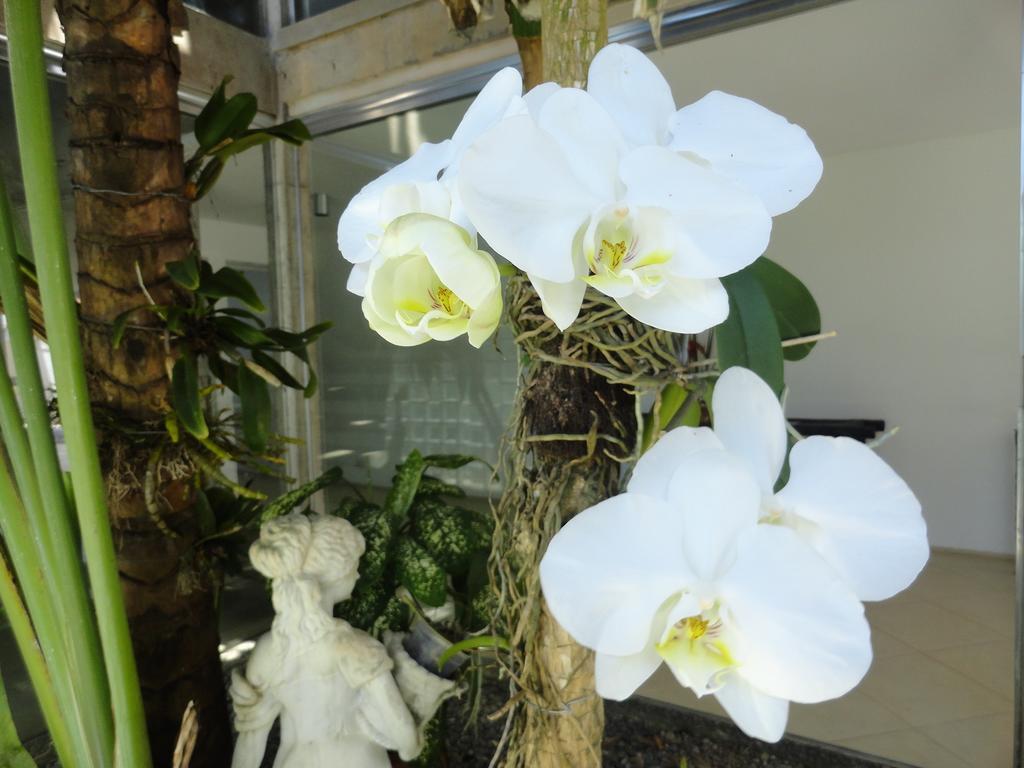 Pousada Orquideas Guarujá Kültér fotó